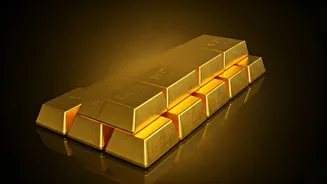 IPO Mania: Upcoming Market Debuts & Funding Rounds