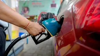 E20 Fuel Safe For Legacy Vehicles, No Significant Impact On Performance: Govt In Rajya Sabha