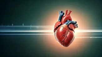 Daily Strides to a Healthier Heart: How Much Walking Lowers Blood Pressure?