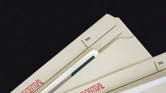 A Pet File Should Be Easy to Reach During an Emergency
