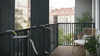 Balcony Blitz: Top Tricks to Reclaim Your Space from Pigeons!