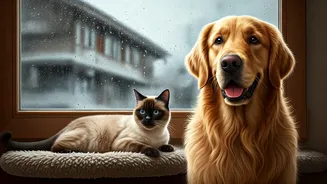 Healthy Pets, Happy Monsoon