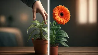 Teenage Distress: Spotting Coping vs. Escaping Mechanisms in Your Child