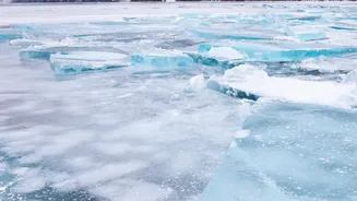 Warm Ocean Waters Could Also Be Driving Antarctica’s Low Sea Ice Levels