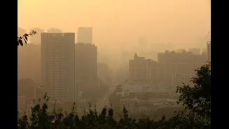 Delhi's I P Extension Faces Poor Air Quality with PM2.5 Levels at 46 µg/m³