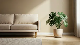 Indoor Plants Make Home Makeovers Feel Complete