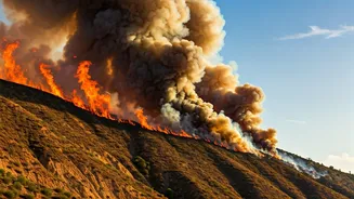 Spencer Pratt Seeks Answers on Palisades Fire