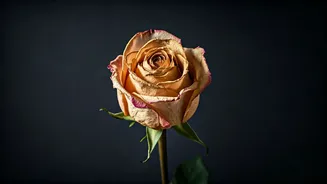 5 Subtle Signs of Emotional Abuse: Protect Your Well-being