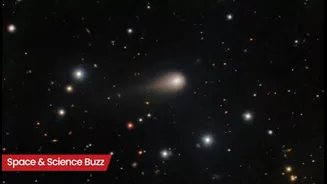 Science & Space Roundup: Top News of the Day (Nov 1)