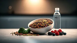 India's Health Revolution: The Protein, Fibre, and Low-Sugar Food Shift