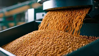West Bengal's Rice Revolution: Driving Growth, Boosting Competitiveness & Expanding Markets