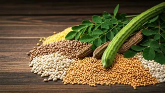 India Rediscovers Forgotten Nutrition Powerhouses