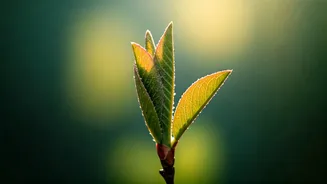 Uncommon & Strong Names for April Babies: A Guide for New Parents