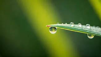 The Priceless Gifts: Finding Joy in Life's Free Treasures