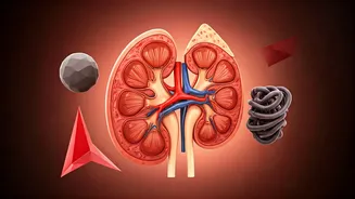 Kidney Diet Pitfalls: 5 Common Mistakes Revealed by a Dietitian