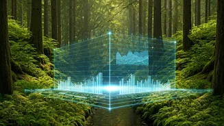 India’s Green Stories Need A Smarter Format