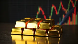 Budget 2026: A Key Stabilizer for Foreign Investment in India