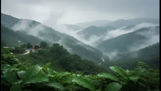 Monsoon Breaks In Hill Stations Are Becoming More Mindful