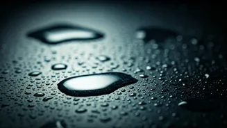 Monsoon Moisture Needs Quick Action