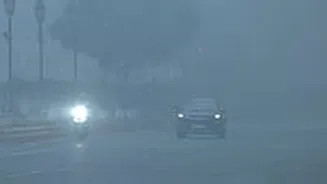 Dense Fog Engulfs Delhi As Air Quality Improves Slightly To 'Very Poor' - Video