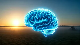 Participate In Morning Breathwork Challenges For Extreme Mental Sharpness