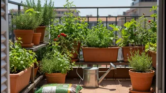 Balcony Gardening Has Entered Maintenance Mode