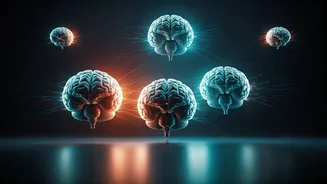 Is Fear Contagious? Exploring The Spread of Anxiety