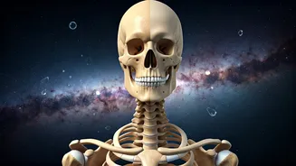 What Happens To Your Body In Space?