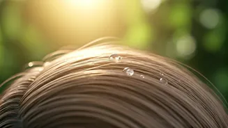 Summer Haircare Switch: 5 Oils to Ditch for a Fresh Scalp