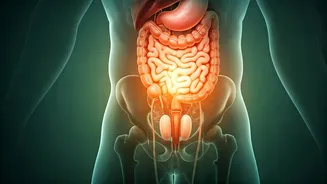 Boost Testosterone After 40: 5 Natural Strategies for Men