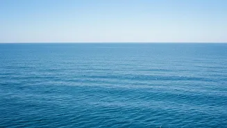 A Closer Scientific Look At Persistent Marine Heat Through July's Record Global Sea Heat