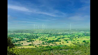 COP30 in Belem Highlights Shift to Climate Action Implementation