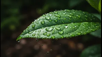 Monsoon Eating Mistakes That Could Increase Your Risk Of Stomach Troubles