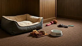 Hotels Know Pet Parents Check Amenities First