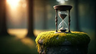 Seneca's Ancient Wisdom: Master Your Present for True Happiness