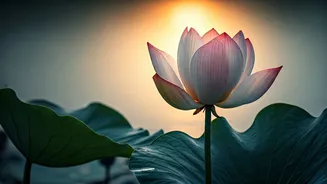 10 Serene Buddhist Baby Boy Names for Buddha Purnima 2026: Wisdom & Calm