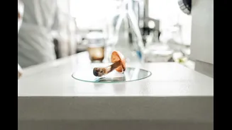 Dose única de psilocibina melhora depressão por semanas, aponta estudo