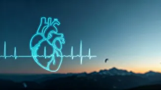 Related Stories banner