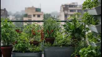 Monsoon Balcony Micro-Gardens Offers Urban Renters and Home Gardeners a New Way to Grow Useful Food in Limited Space