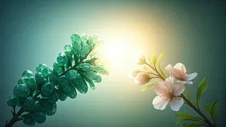 Gemini's Harmonious Day: Love Blossoms, Career Clarity Dawns (March 20, 2026)