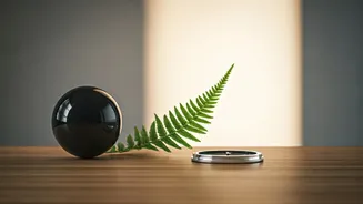 Aries Daily Insights: March 16, 2026 - Navigate Decisions with Calm Reflection