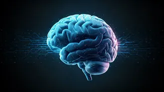 Meta's Brain AI Reaches 78% Accuracy For Best Participant