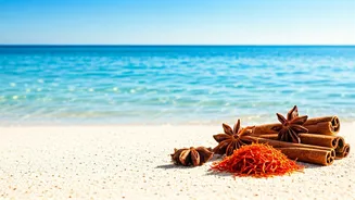 Zanzibar: Uncover the Spice Island's Turquoise Waters, Stone Town Charms, and Rich History