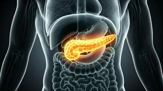 Pancreatic Cancer's Silent Start: Crucial Early Signs to Watch For