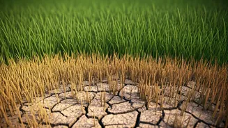 Related Stories banner