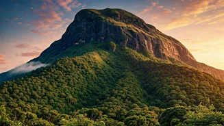 Discover Anamudi: Kerala's Majestic Peak and Its Natural Wonders