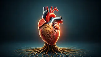 The 3-Hour Dinner Rule: Unlock Better Heart Health and Longevity with This Simple Habit