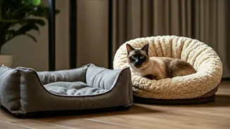 Why Mumbai Cat Owners Outspent Dog Parents This Year