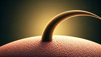 Breakthrough Hair Serum: Thicker, Denser Hair in Just 8 Weeks, New Study Finds