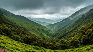 Kerala's Hidden Gems Shine During Monsoon